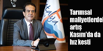 Tarımsal maliyetlerdeki artış Kasım'da da hız kesti