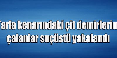 Tarla kenarındaki çit demirlerini çalanlar suçüstü yakalandı