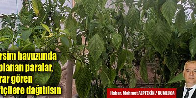 Tarsim havuzunda toplanan paralar