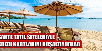 Tatil dolandırıcıları Google reklamları ile kandırıyor