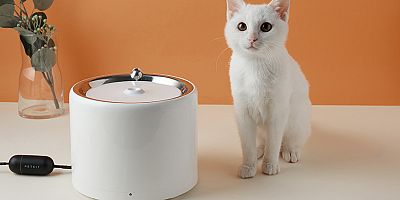 Tatiliniz kedinize zehir olmasın: Kedinizi strese değil akıllı pet ürünlerine emanet edin