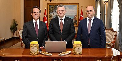 Tavşan Yüreği Zeytini Avrupa Birliği yolunda