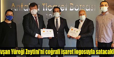 Tavşan Yüreği Zeytini'ni coğrafi işaret logosuyla satacaklar