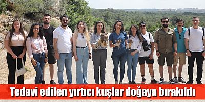Tedavi edilen yırtıcı kuşlar doğaya bırakıldı