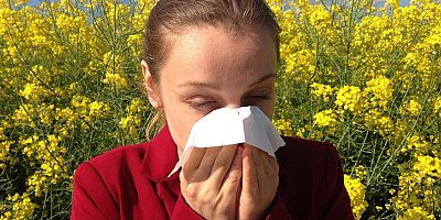 Tedavi edilmeyen saman nezlesi başka hastalıklara zemin hazırlıyor!