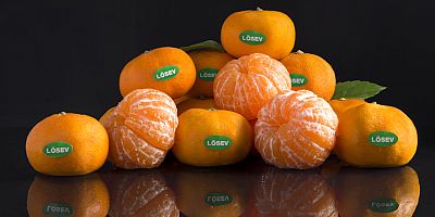 Tek katkı maddesi sevgi