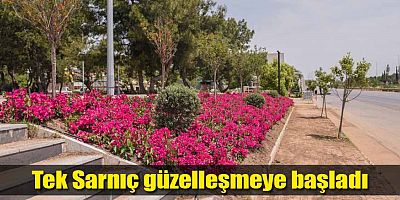 Tek Sarnıç güzelleşmeye başladı