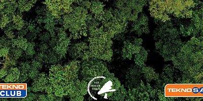 Teknosa Hatıra Ormanı e-atıklarla büyüyecek