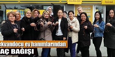 Tekvandocu ev hanımlarından saç bağışı