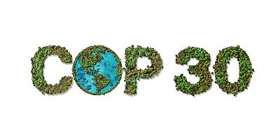 TEMA Vakfı: COP30 Çözüm Değil, Erteleme Üretti 