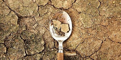 TEMA Vakfı: Toprak Yoksa Su, Su Yoksa Gıda Yok!