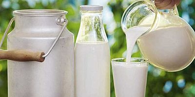 Temmuz ayında 838 bin 716 ton inek sütü toplandı