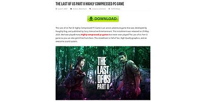 The Last of Scams: Siber suçlular