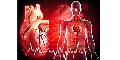 Tıbbi Beslenme Uzmanı Dr. Eyyüb Yılmaz'dan bayram uyarısı