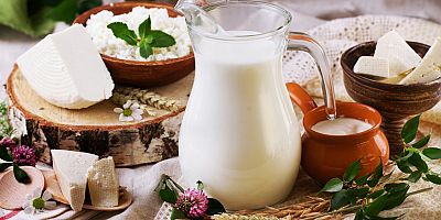 Ticari süt işletmelerince 750 bin 461 ton inek sütü toplandı