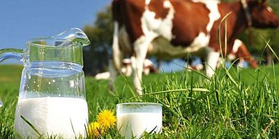 Ticari süt işletmelerince Ekim ayında 803 bin 315 ton inek sütü toplandı