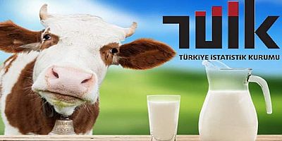 Ticari süt işletmelerince Kasım ayında 763 bin 413 ton inek sütü toplandı