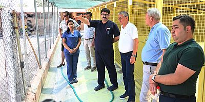 Topaloğlu: Tüm canlıları korumaya devam edeceğiz