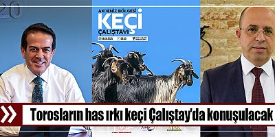 Torosların has ırkı keçi Çalıştay'da konuşulacak