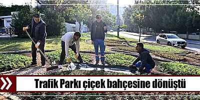 Trafik Parkı çiçek bahçesine dönüştü
