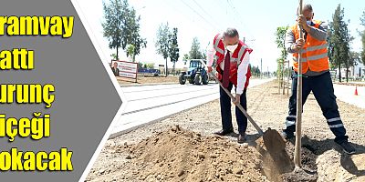 Tramvay hattı turunç çiçeği kokacak