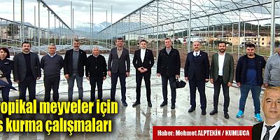 Tropikal Meyveler İçin Üs Kurma Çalışmaları
