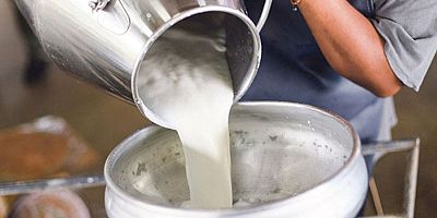 TÜİK, 2020-2021 yılı çiğ süt üretim verilerini açıkladı