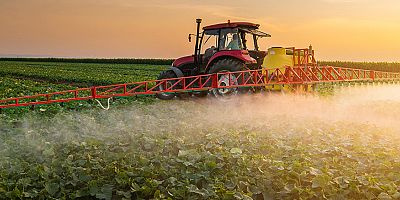 TÜİK 2021-2022 dönemi bitkisel ürün denge tablolarını açıkladı