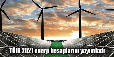 TÜİK 2021 enerji hesaplarını yayımladı