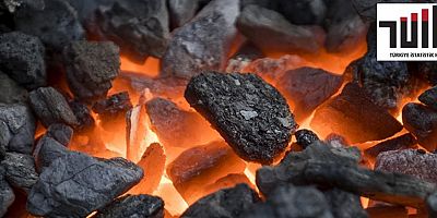 TÜİK 2021 Nisan Ayı Katı Yakıtlar İstatistiğini açıkladı