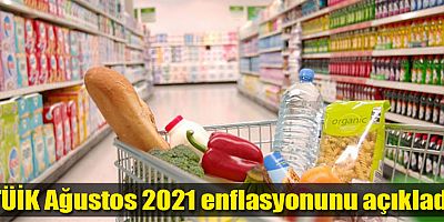 TÜİK Ağustos 2021 enflasyonunu açıkladı