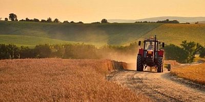 TÜİK: Bitkisel üretim azalacak