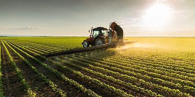 TÜİK, bitkisel üretim tahminlerini yayınladı