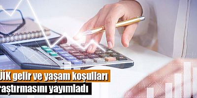 TÜİK gelir ve yaşam koşulları araştırmasını yayımladı
