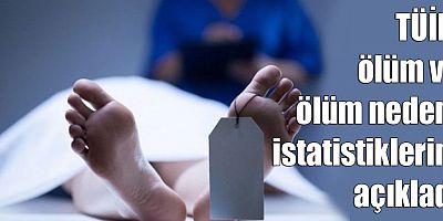 TÜİK, ölüm ve ölüm nedeni istatistiklerini açıkladı
