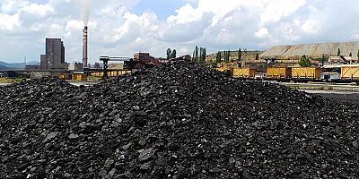 TÜİK, Temmuz 2021 Katı Yakıtlar verilerini açıkladı