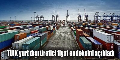 TÜİK yurt dışı üretici fiyat endeksini açıkladı