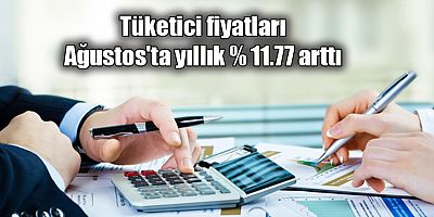 Tüketici fiyatları Ağustos'ta yıllık % 11.77 arttı