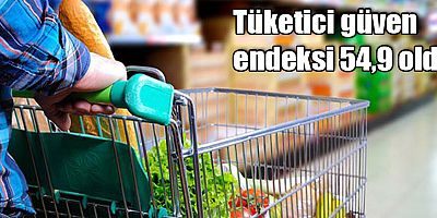 Tüketici güven endeksi 54,9 oldu