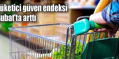 Tüketici güven endeksi Şubat'ta arttı