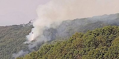 Tunceli’de 2 helikopter ve 1 uçakla yangına müdahale sürüyor