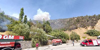 Tunceli’deki yangınların tamamı kontrol altında