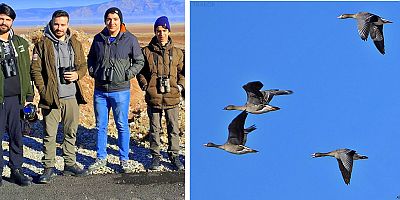 Tundra Kazı 4 yıl Sonra Yeniden Türkiye’de