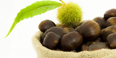 Türk kestanesini en çok İtalyanlar sevdi