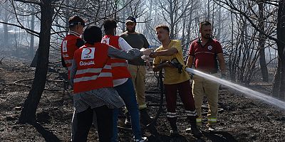 Türk Kızılay'ın orman yangınlarıyla mücadeleye desteği sürüyor