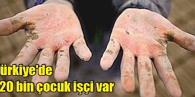 Türkiye'de 720 bin çocuk işçi var