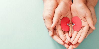 Türkiye’de her 6-7 yetişkinden 1’i böbrek hastası!