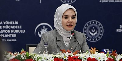 ”Türkiye’de Kadına Yönelik Şiddet Araştırması