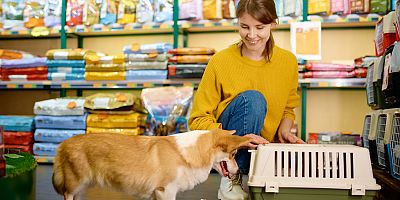 Türkiye'de yaşayan evcil hayvan ebeveynleri sağlıklı ve besleyici ürünleri tercih ediyor