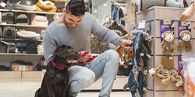 Türkiye evcil hayvan ürünleri pazarında 2028'e kadar 2 milyar dolarlık ek ihracat bekleniyor